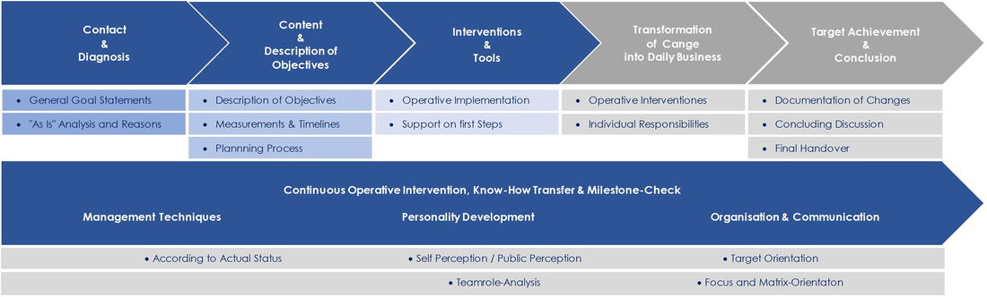 3CS Interim Management
