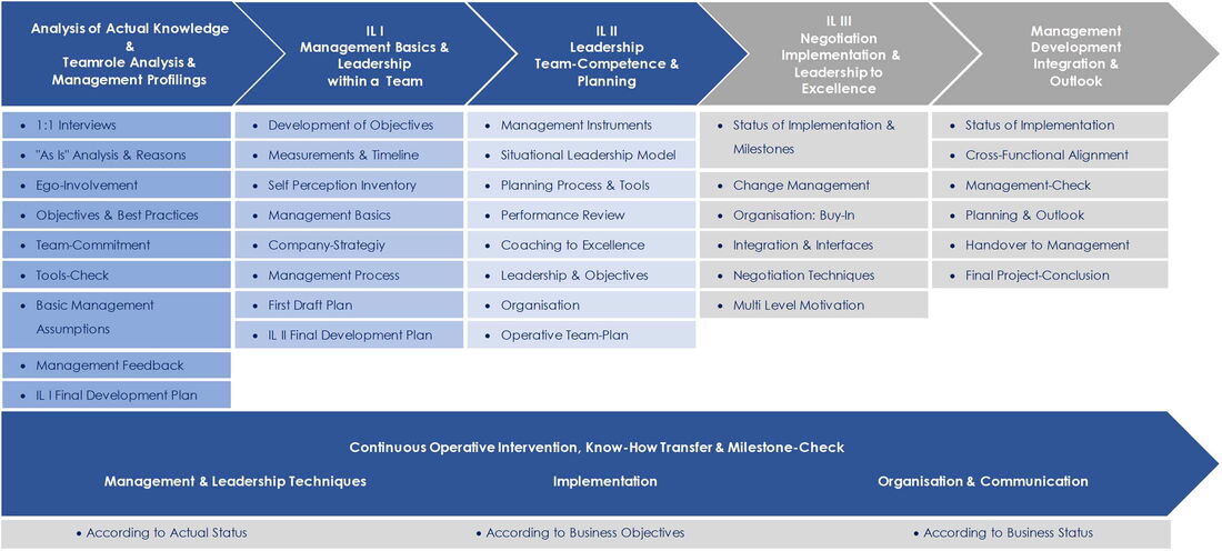3CS Manager Training