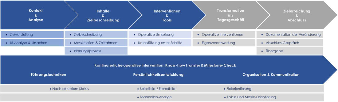 3CS Interim Management